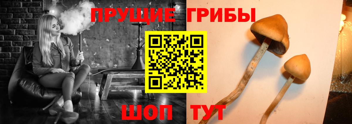 Псилоцибиновые грибы ЛСД  Вход с VPN  Муром 